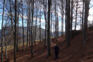 Scendendo verso l'Ambrosinera