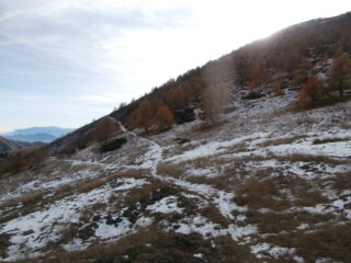 al colle la prima neve