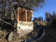 Grosso fico avvolge elaborato pilone votivo lungo sentiero e canale irriguo.