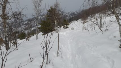 Traverso per Alpe lunella