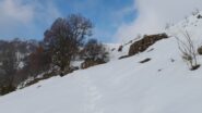 Un po' di sole al colle