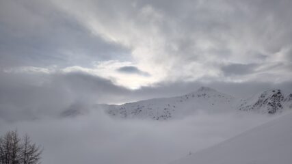 Monte Flassin