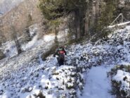 Salendo tra i rododendri.