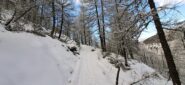 Neve appena sufficiente in partenza