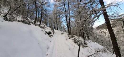 Neve appena sufficiente in partenza