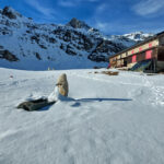 il rifugio 