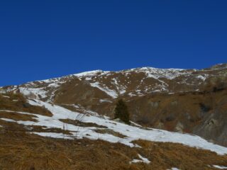 Il Tibert