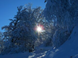 Ufficialmente inverno