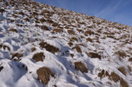 Giochi di luce tra neve ed erba