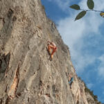 Il muro delle meraviglie