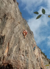 Il muro delle meraviglie
