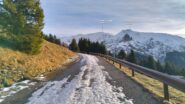  Salendo sulla strada da Plassa.
