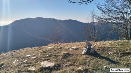  P.zo dell'Asino.