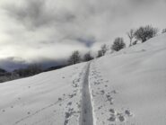 oplus_2