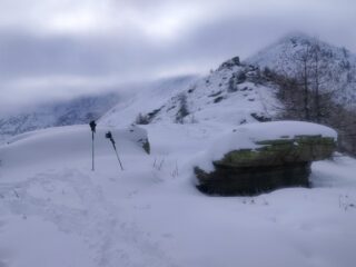oplus_0