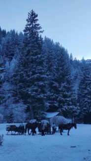 la voie Romaine sale attraverso questo fitto bosco