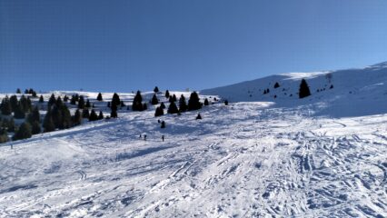 oplus_0