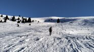 oplus_0