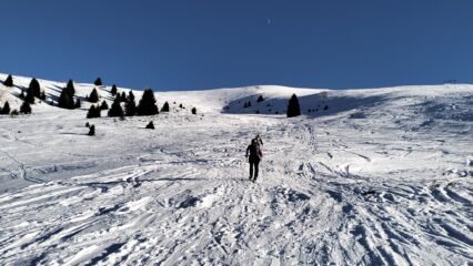 oplus_0