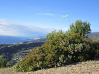 Dalla cima del Monte Carbone si vede Montecarlo