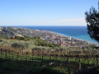 Vallecrosia e Bordighera dal Monte Maule