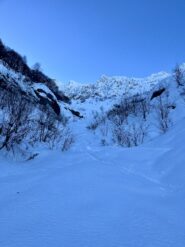 Gorgia, alias trappola per topi