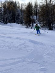 Ancora belle curve nella parte alta del bosco