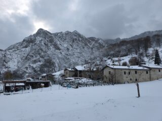 Birone
