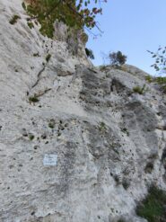 Attacco Gioco Gioco