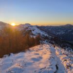 Alba