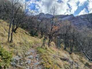 Salita verso il Monte Armetta dopo le Case Fasce 