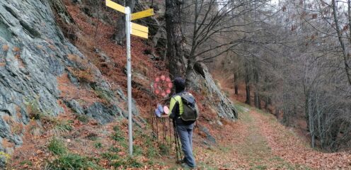 Bivio quando si lascia la strada
