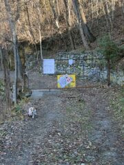 Ru chiuso 