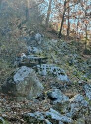Traverso impervio dopo il rudere con parvenza di sentiero 