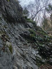 Tratto più verticale
