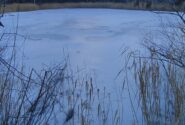 Lago ghiacciato 
