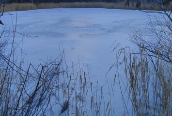 Lago ghiacciato 