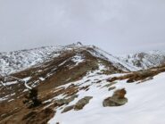 Salita verso il Pizzo d' Ormea dopo le Rocche Butti 