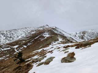 Salita verso il Pizzo d' Ormea dopo le Rocche Butti 