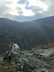 Verso il colle