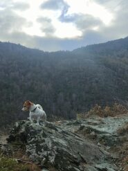 Verso il colle