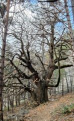 Oplus_131106
