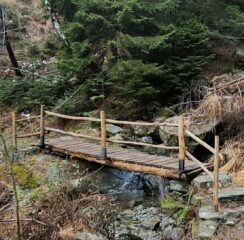 Ponte di collegamento tra un versante e l'altro 