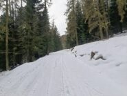 La stradina per l' area attrezzata 