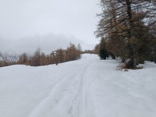 Il costone per il Pian del Manzo 