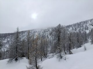 In fondo la Cima Missun dal costone 