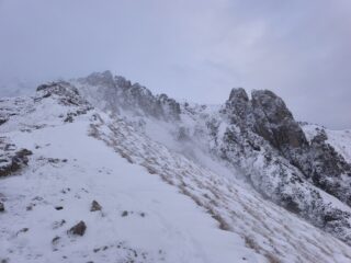 Metà cresta
