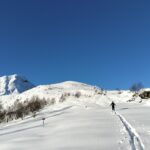 oplus_0