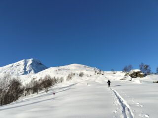 oplus_0