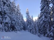 Sì, in effetti è venuta un po' di neve...